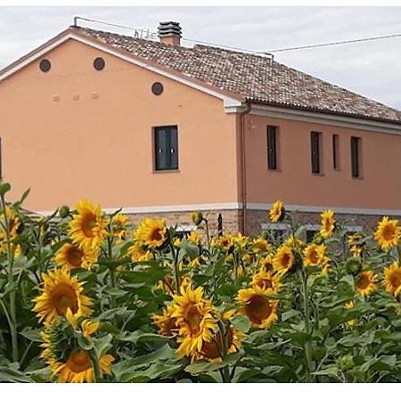 La Dolce Vita Porto Recanati Dış mekan fotoğraf