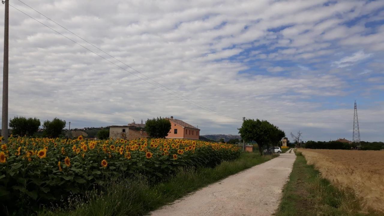 La Dolce Vita Porto Recanati Dış mekan fotoğraf