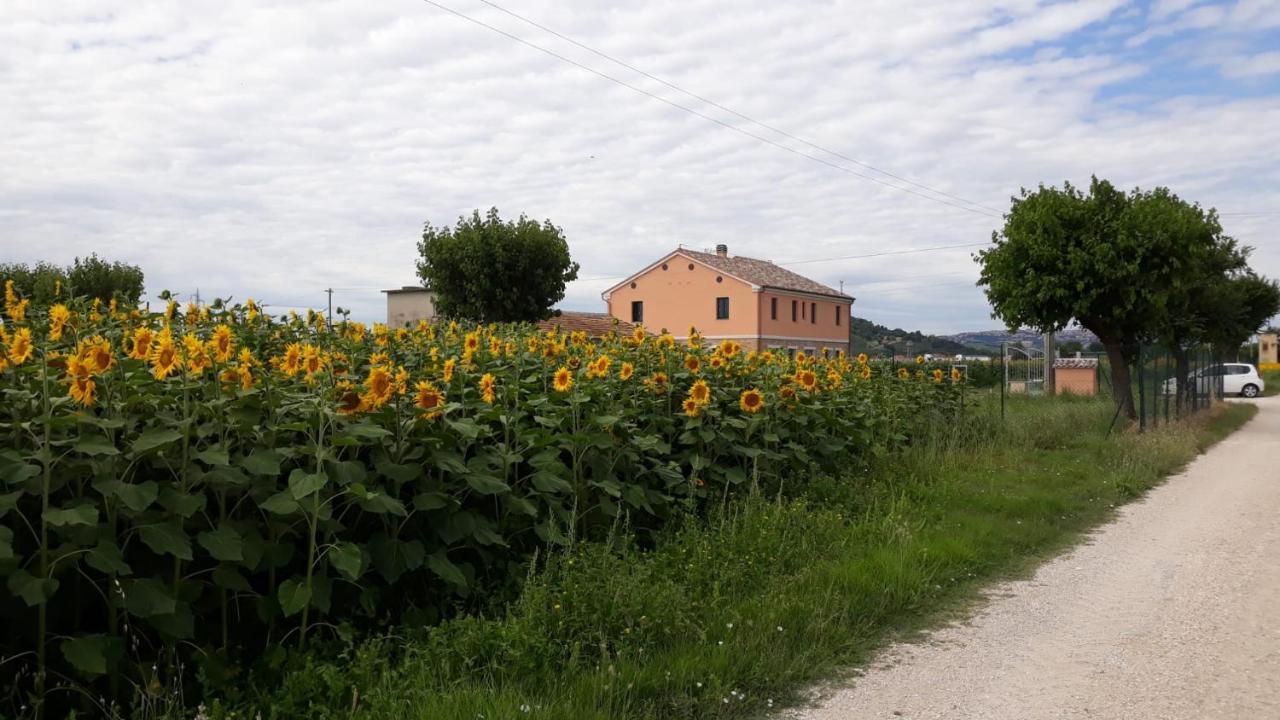 La Dolce Vita Porto Recanati Dış mekan fotoğraf