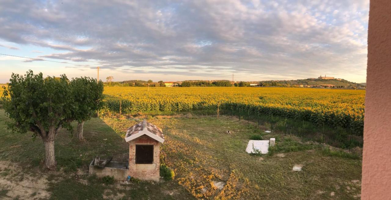 La Dolce Vita Porto Recanati Dış mekan fotoğraf