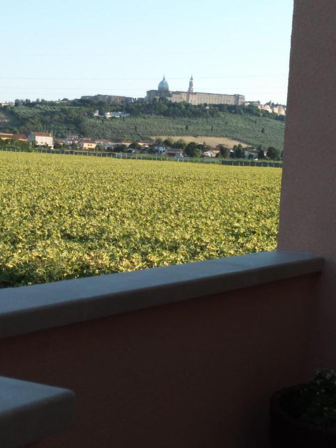 La Dolce Vita Porto Recanati Dış mekan fotoğraf