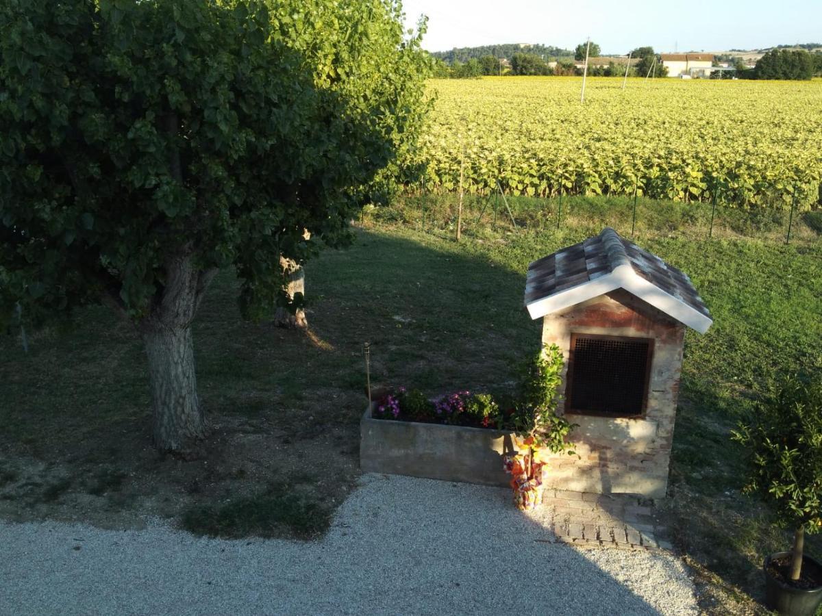 La Dolce Vita Porto Recanati Dış mekan fotoğraf