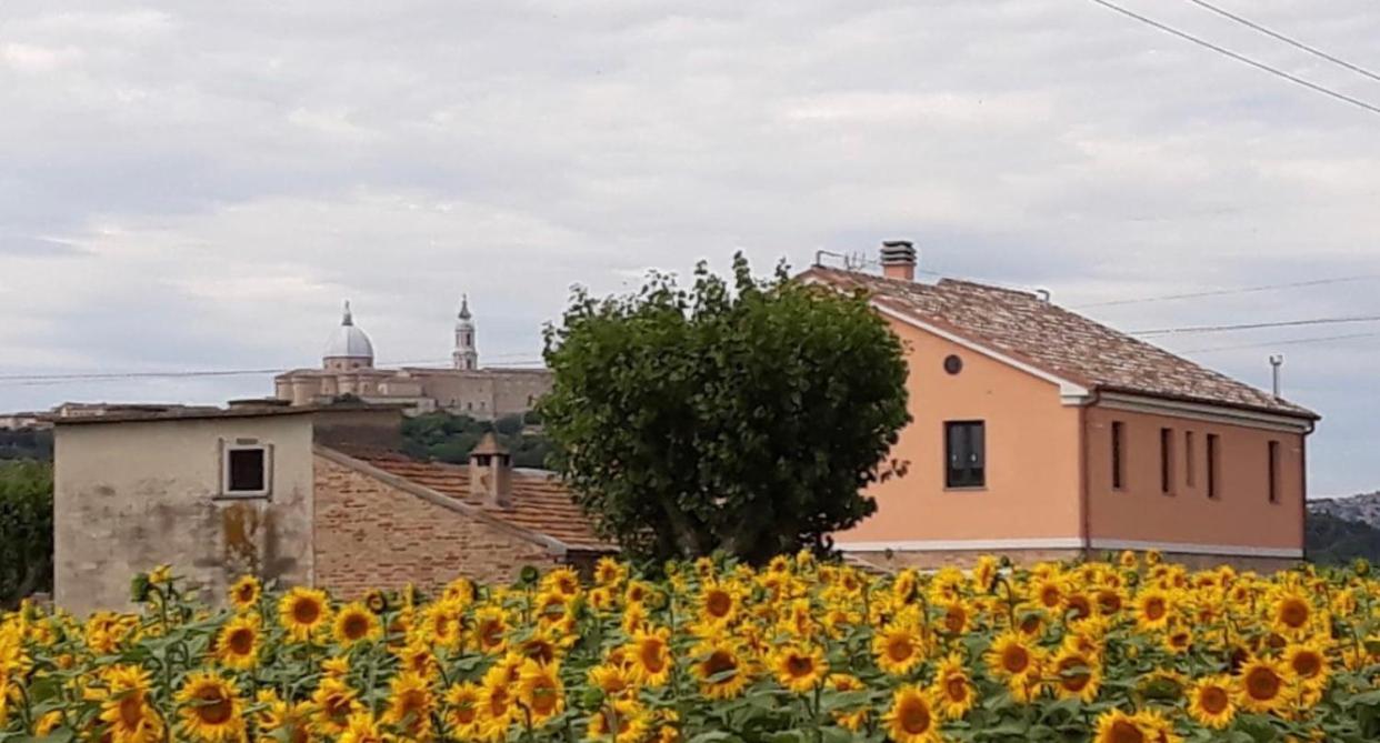 La Dolce Vita Porto Recanati Dış mekan fotoğraf